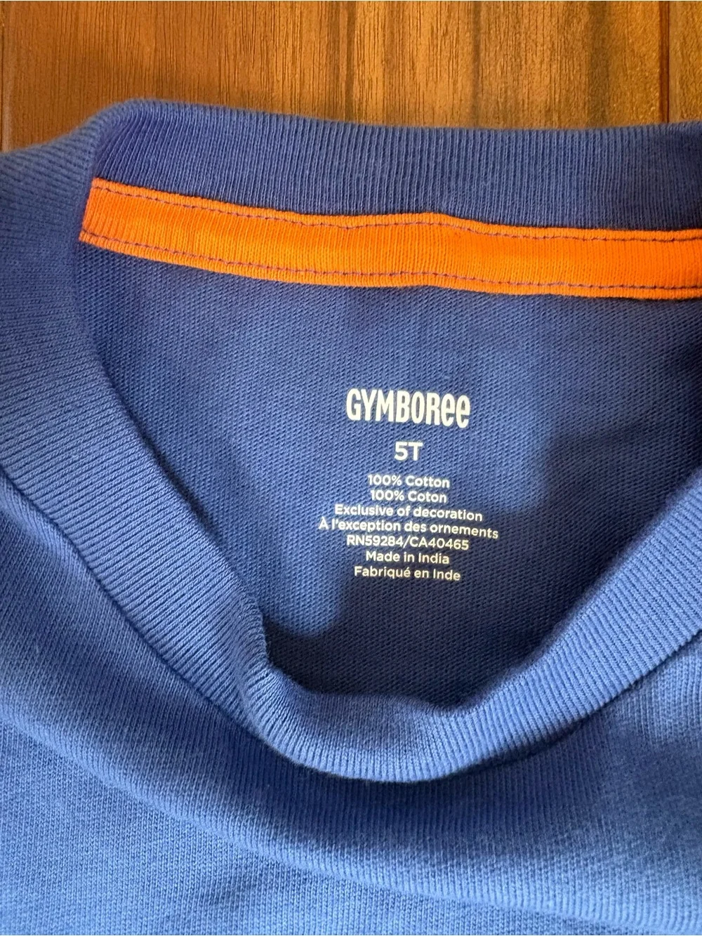 Gymboree Blue Tee with Green Chameleon Applique NWT